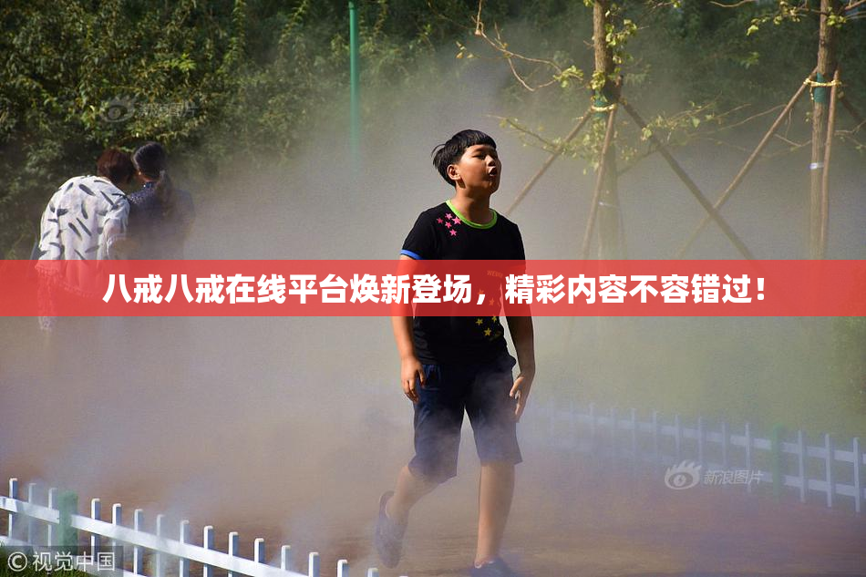 八戒八戒在线平台焕新登场，精彩内容不容错过！