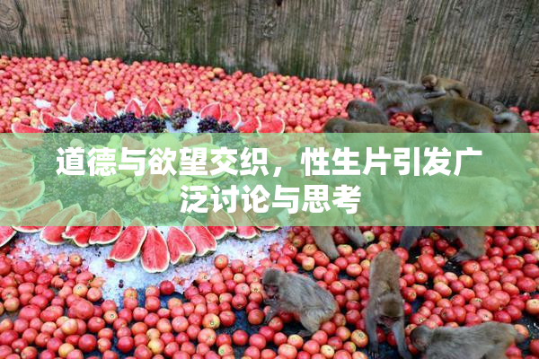 道德与欲望交织，性生片引发广泛讨论与思考
