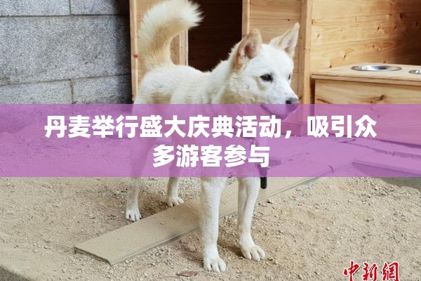 丹麦举行盛大庆典活动，吸引众多游客参与