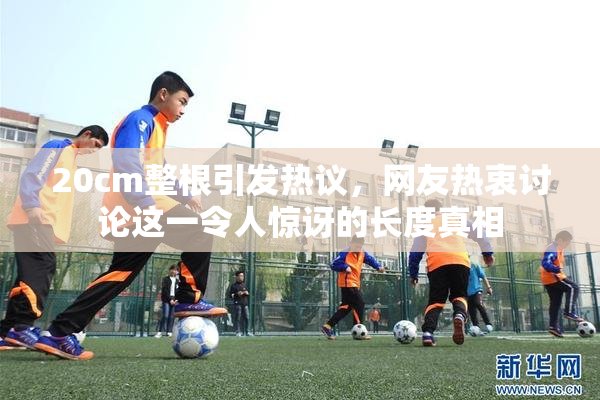 20cm整根引发热议，网友热衷讨论这一令人惊讶的长度真相