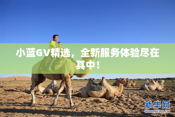 小蓝GV精选，全新服务体验尽在其中！