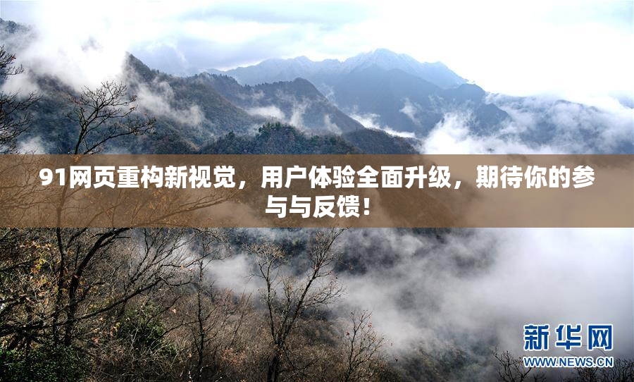 91网页重构新视觉，用户体验全面升级，期待你的参与与反馈！