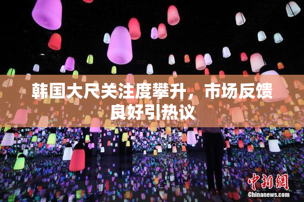 韩国大尺关注度攀升，市场反馈良好引热议