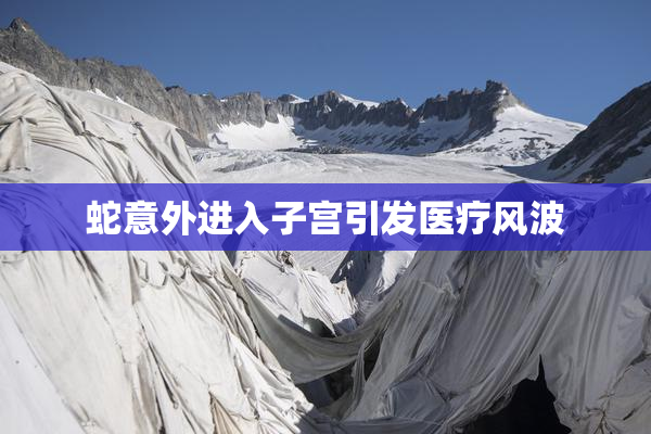 蛇意外进入子宫引发医疗风波