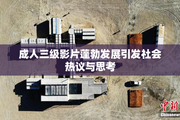 成人三级影片蓬勃发展引发社会热议与思考