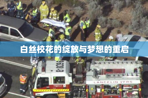 白丝校花的绽放与梦想的重启