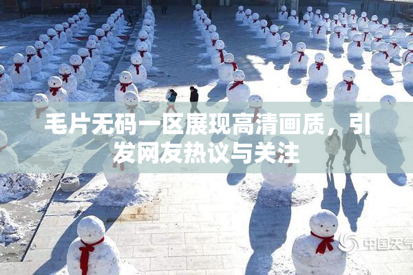 毛片无码一区展现高清画质，引发网友热议与关注