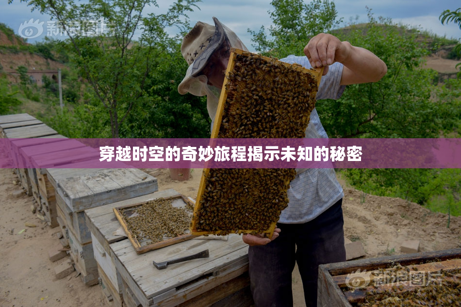 穿越时空的奇妙旅程揭示未知的秘密