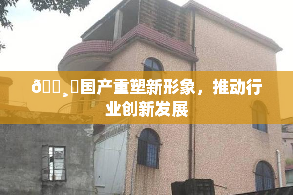 🌸‌国产重塑新形象，推动行业创新发展