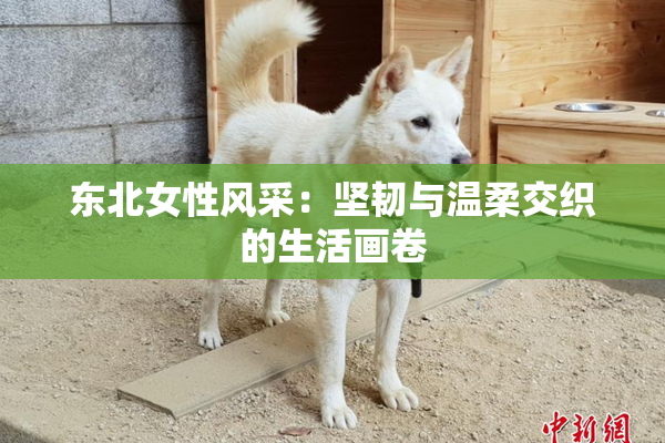 东北女性风采：坚韧与温柔交织的生活画卷