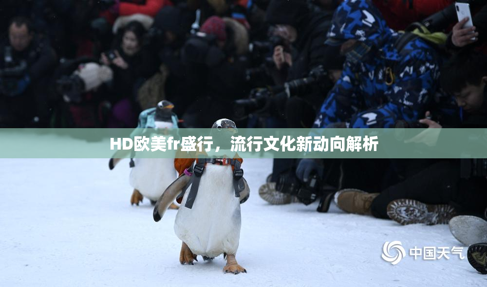 HD欧美fr盛行，流行文化新动向解析