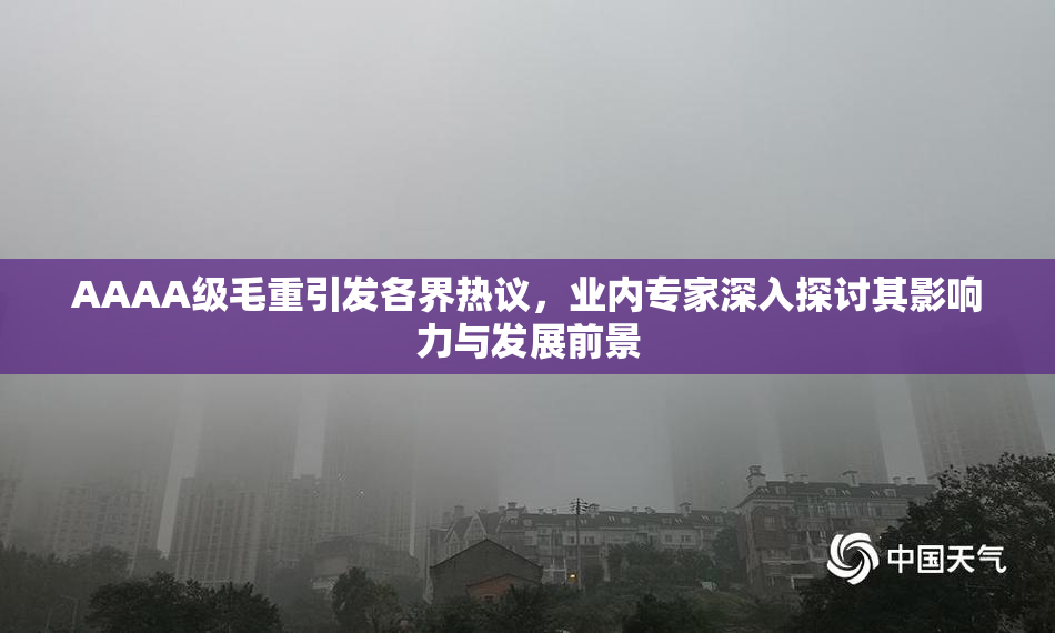 AAAA级毛重引发各界热议，业内专家深入探讨其影响力与发展前景