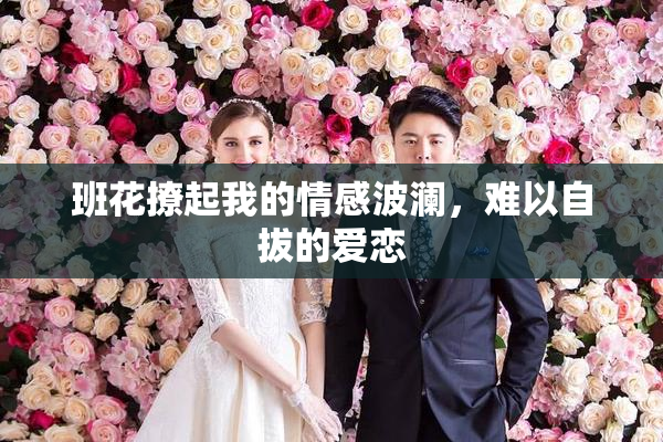 班花撩起我的情感波澜，难以自拔的爱恋