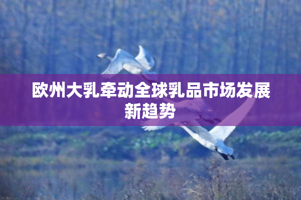 欧州大乳牵动全球乳品市场发展新趋势
