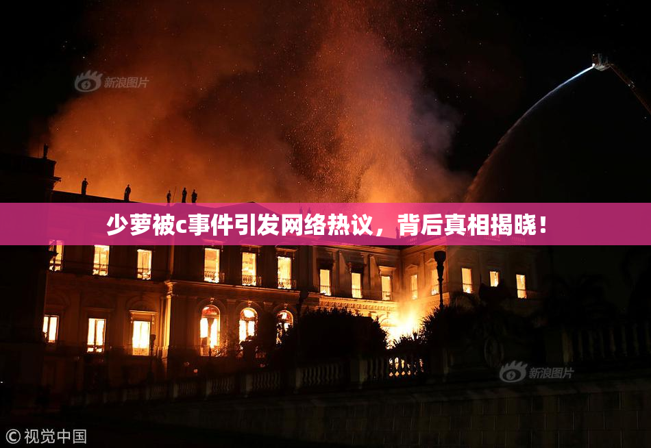 少萝被c事件引发网络热议，背后真相揭晓！