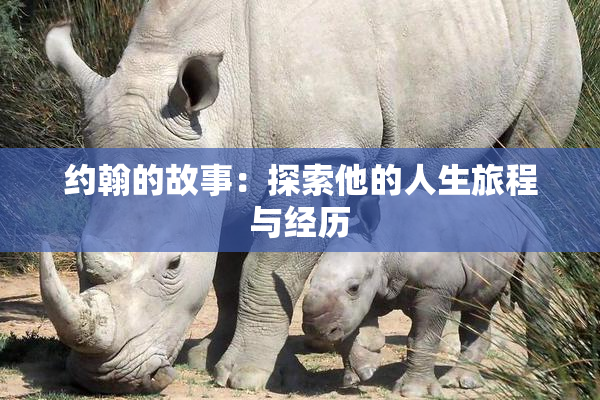 约翰的故事：探索他的人生旅程与经历
