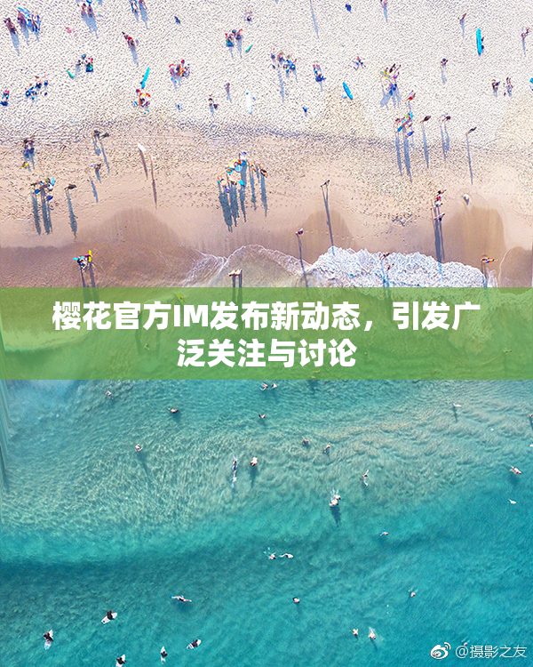 樱花官方IM发布新动态，引发广泛关注与讨论