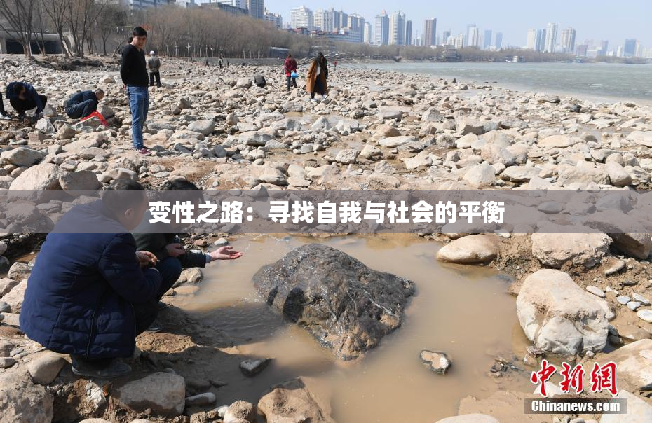 变性之路：寻找自我与社会的平衡
