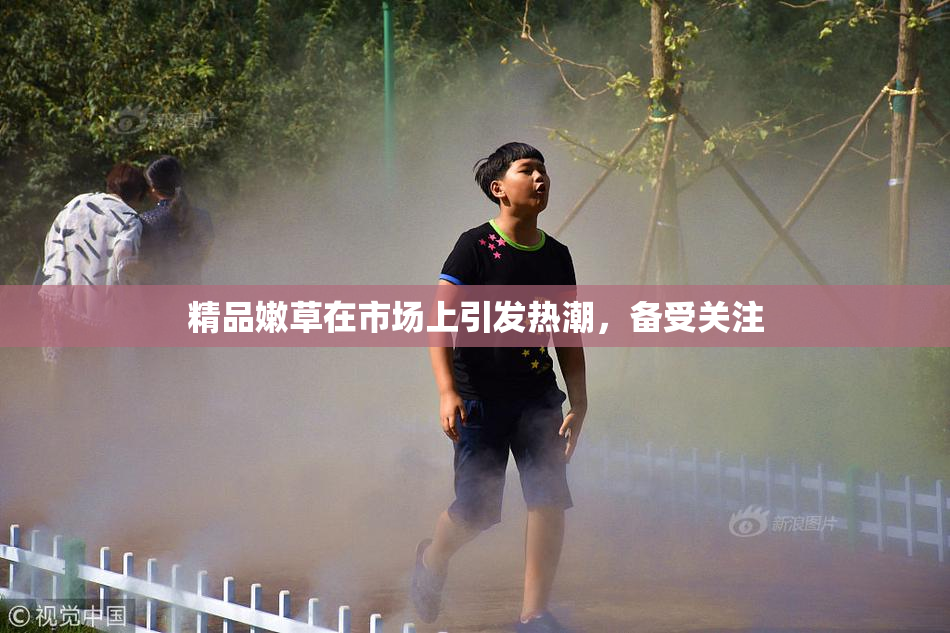 精品嫩草在市场上引发热潮，备受关注