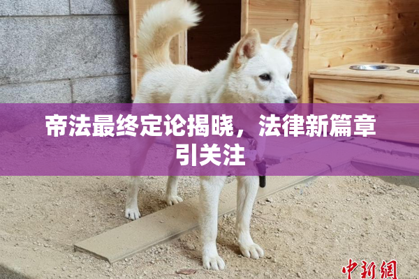 帝法最终定论揭晓，法律新篇章引关注