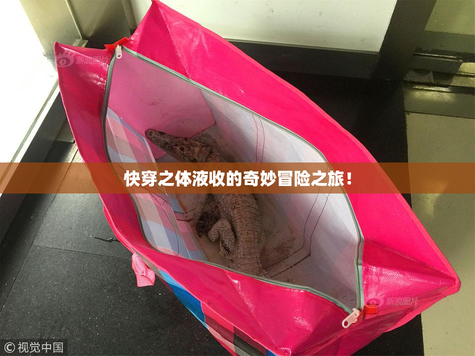 快穿之体液收的奇妙冒险之旅！