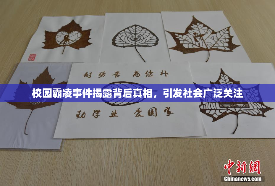 校园霸凌事件揭露背后真相，引发社会广泛关注