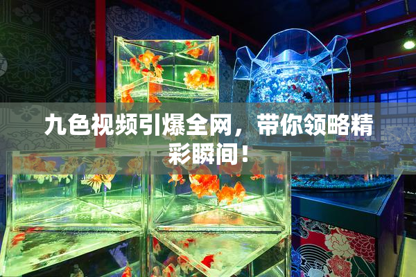 九色视频引爆全网，带你领略精彩瞬间！