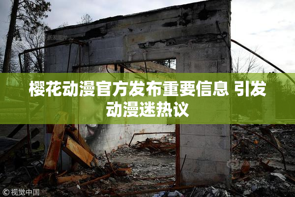 樱花动漫官方发布重要信息 引发动漫迷热议