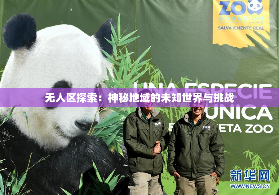 无人区探索：神秘地域的未知世界与挑战