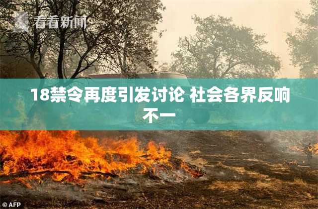 18禁令再度引发讨论 社会各界反响不一