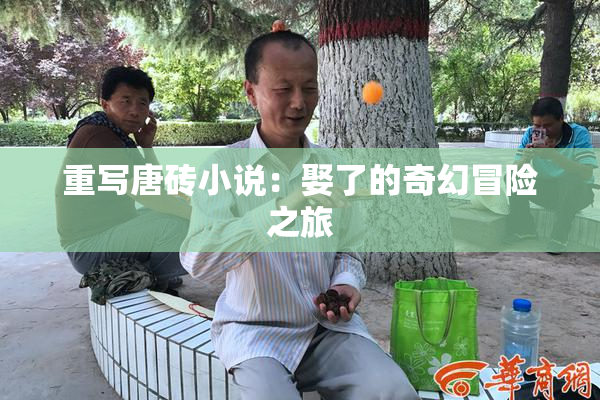 重写唐砖小说：娶了的奇幻冒险之旅