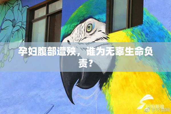 孕妇腹部遭殃，谁为无辜生命负责？