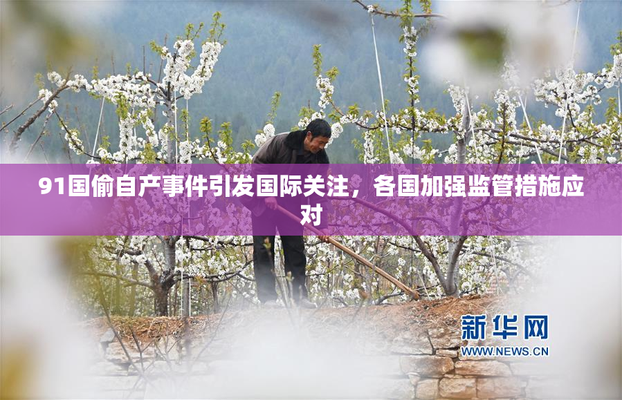 91国偷自产事件引发国际关注，各国加强监管措施应对