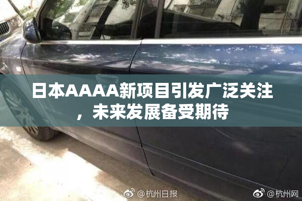 日本AAAA新项目引发广泛关注，未来发展备受期待