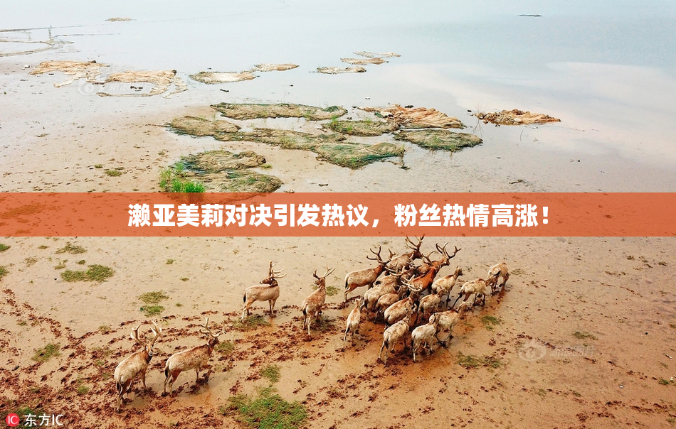 濑亚美莉对决引发热议，粉丝热情高涨！