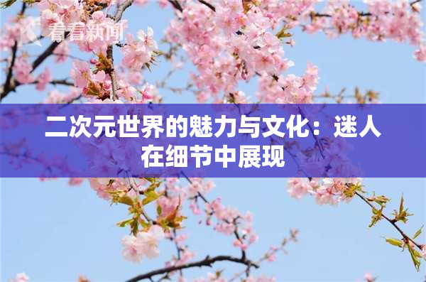 二次元世界的魅力与文化：迷人在细节中展现