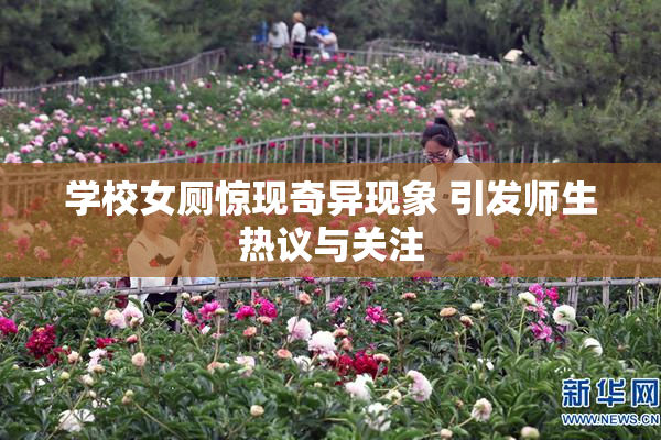 学校女厕惊现奇异现象 引发师生热议与关注