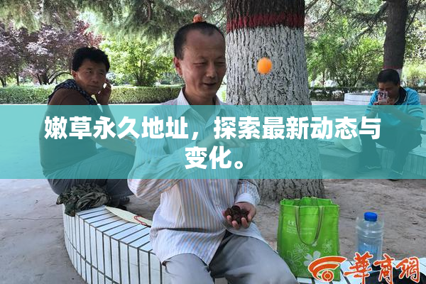 嫩草永久地址，探索最新动态与变化。
