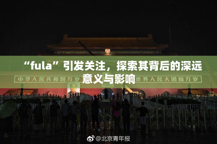 “fula”引发关注，探索其背后的深远意义与影响