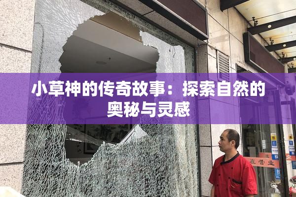 小草神的传奇故事：探索自然的奥秘与灵感