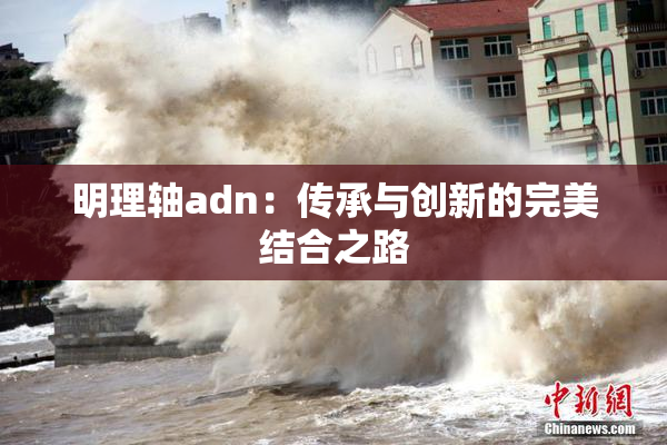 明理轴adn：传承与创新的完美结合之路