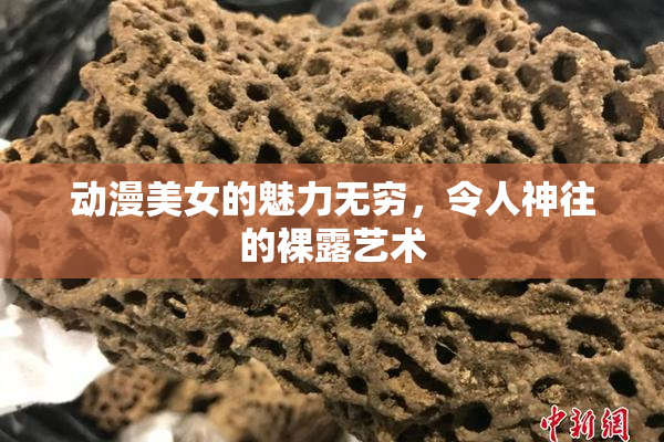 动漫美女的魅力无穷，令人神往的裸露艺术