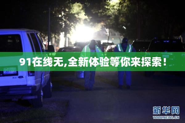 91在线无,全新体验等你来探索！