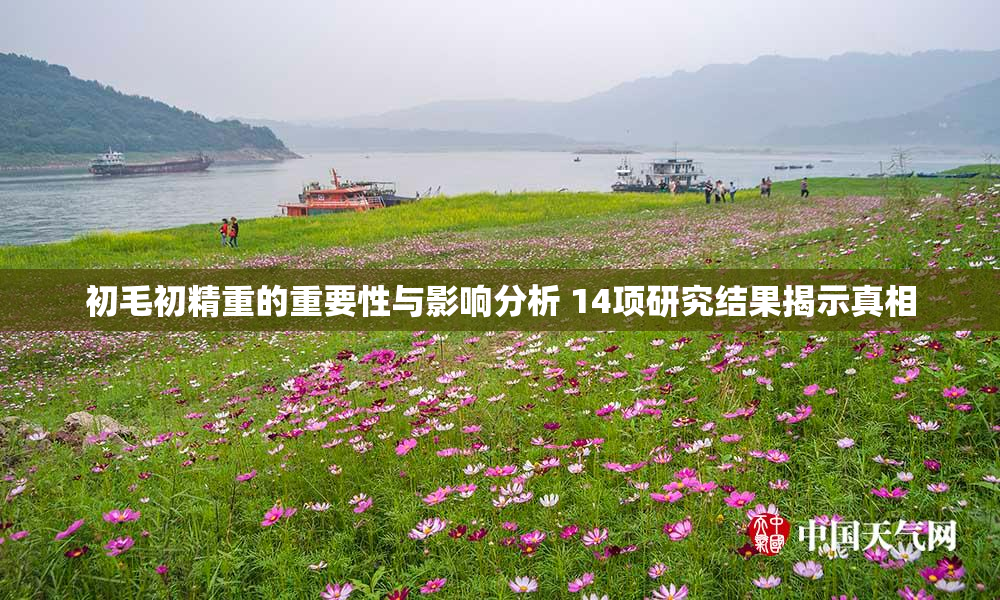 初毛初精重的重要性与影响分析 14项研究结果揭示真相