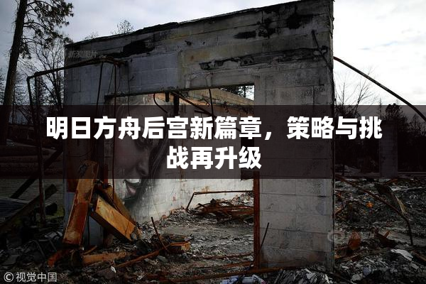 明日方舟后宫新篇章，策略与挑战再升级