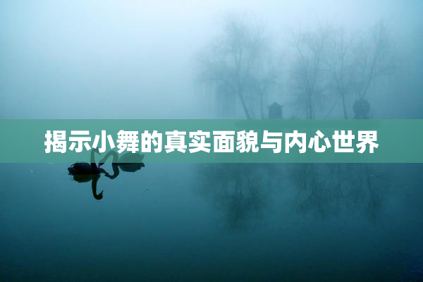 揭示小舞的真实面貌与内心世界