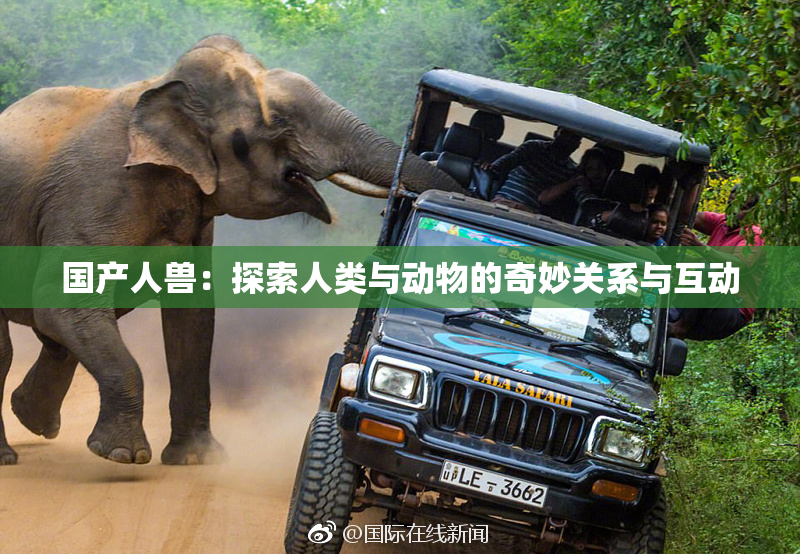 国产人兽：探索人类与动物的奇妙关系与互动