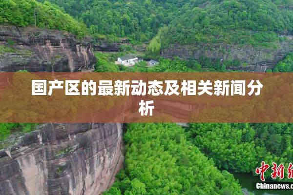 国产区的最新动态及相关新闻分析