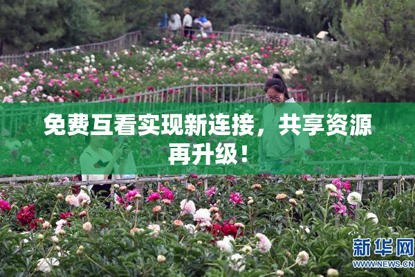 免费互看实现新连接，共享资源再升级！