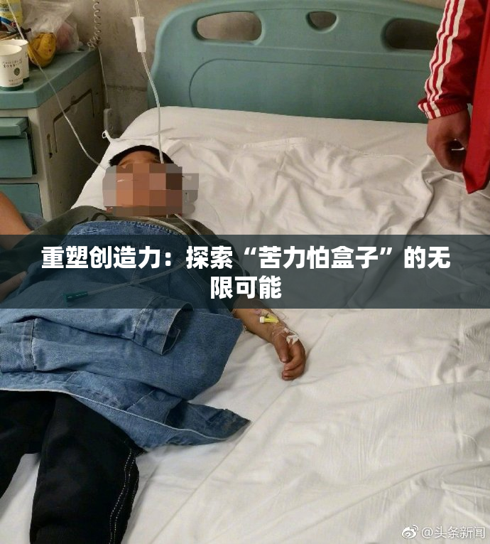 重塑创造力：探索“苦力怕盒子”的无限可能